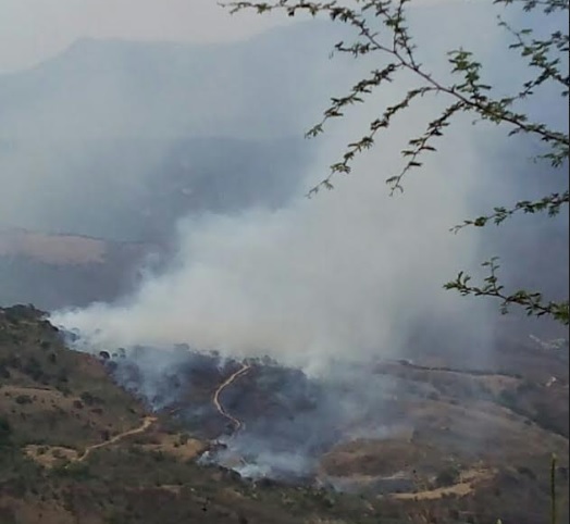 Contin an Labores De Control Y Mitigaci n De Incendio En Nicolas Flores NEWSHIDALGO