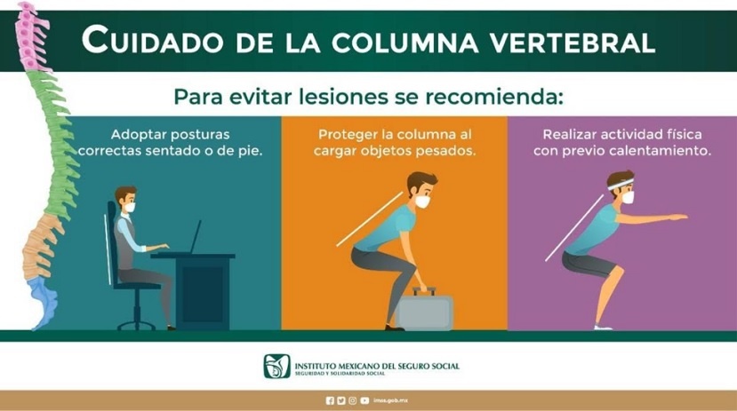 IMSS en Hidalgo recomienda adoptar una buena higiene de columna – News ...